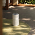 N&N One air purifier on a green rug in a sunlit lounge
