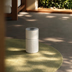 N&N One air purifier on a green rug in a sunlit lounge